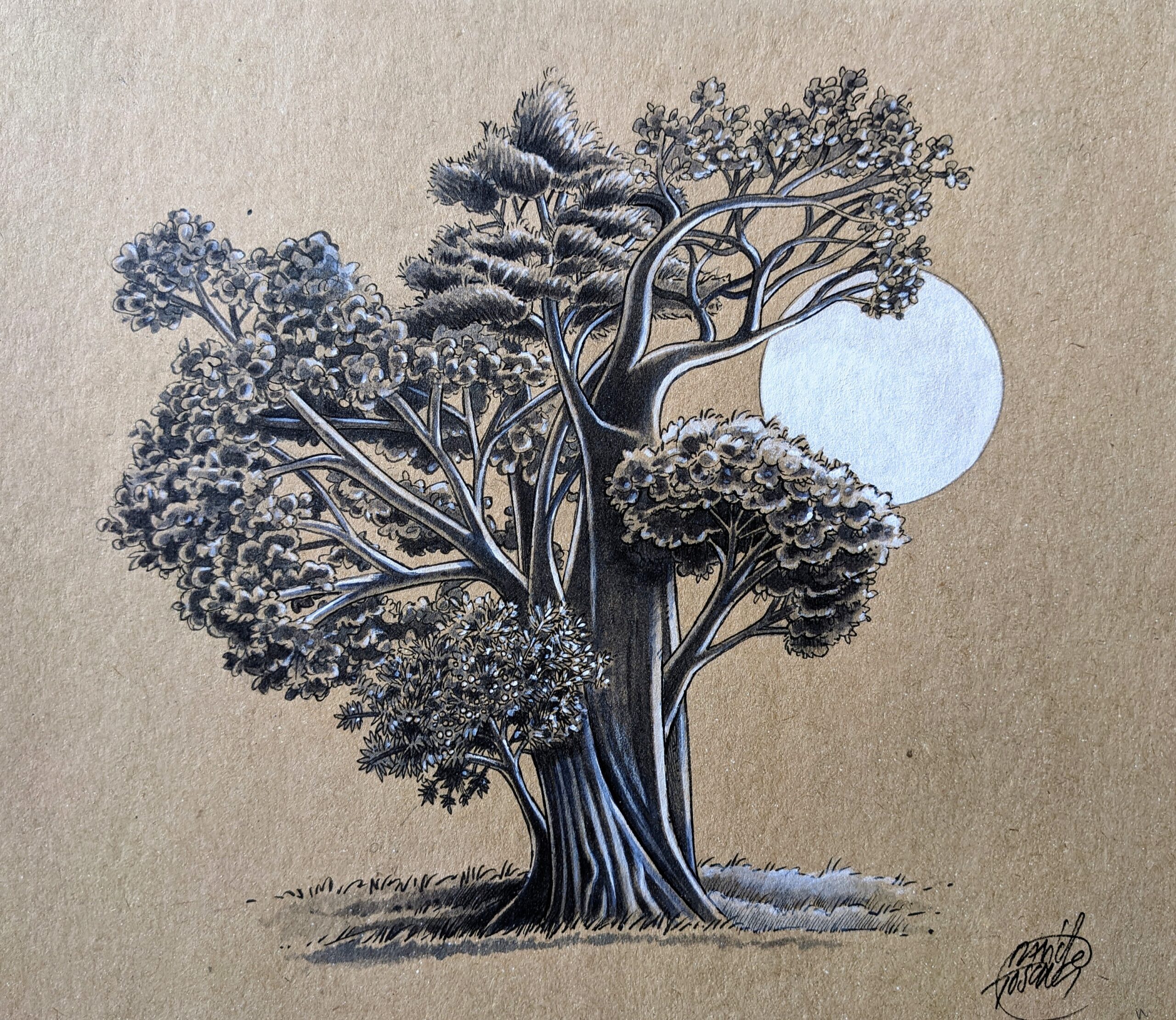 Featured image for “L’albero che vorrei essere”
